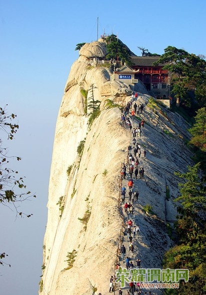 ��ɽ��ί���Ӧֻ�������ο���Ʊ����ɽ������