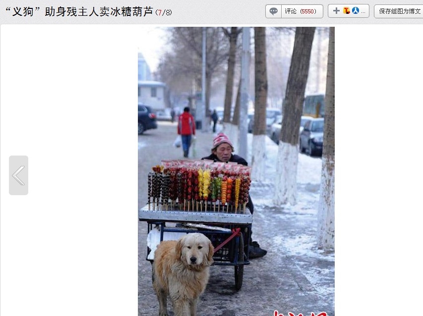 QQ��ͼ20130207143823.jpg