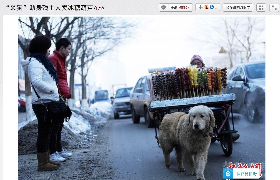 QQ��ͼ20130207143613.jpg