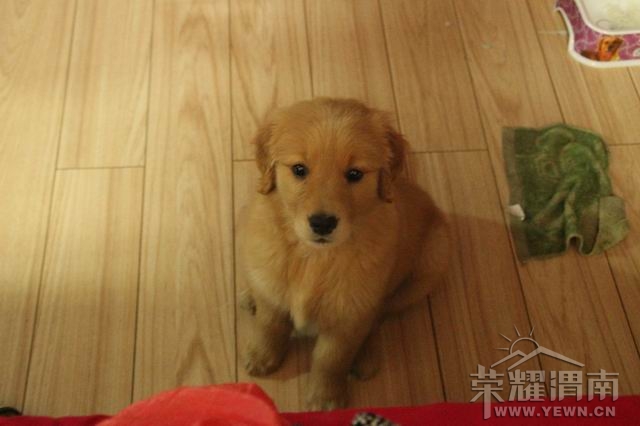 ���� ������С IMG_2430.JPG