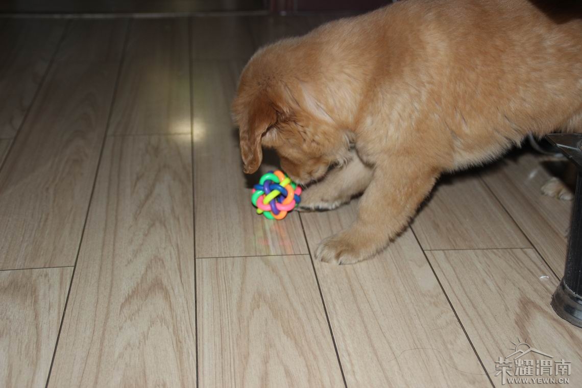 ������С IMG_2059.JPG