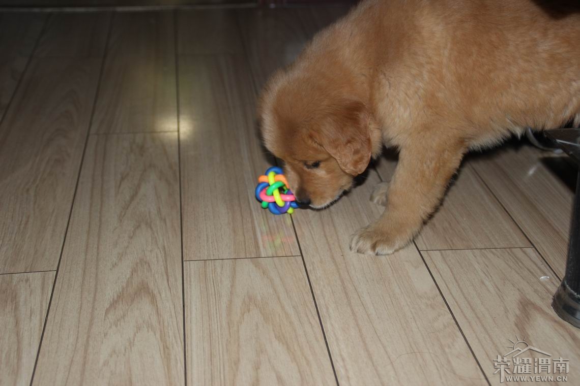 ������С IMG_2060.JPG