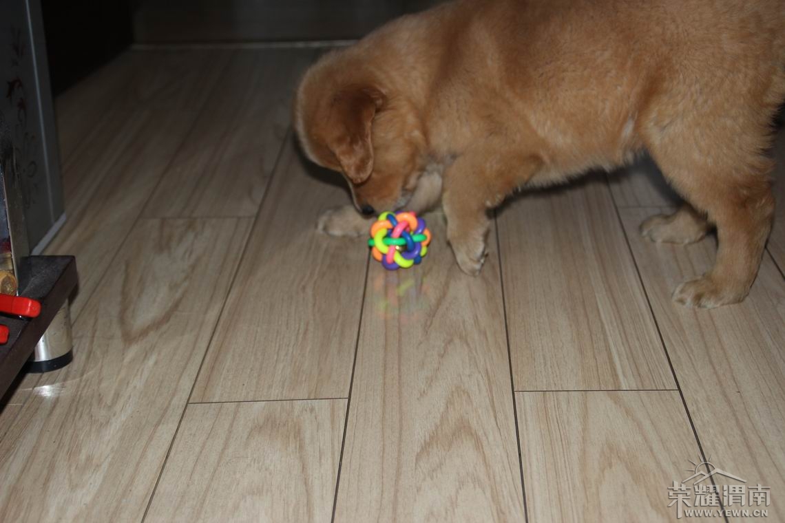 ������С IMG_2062.JPG