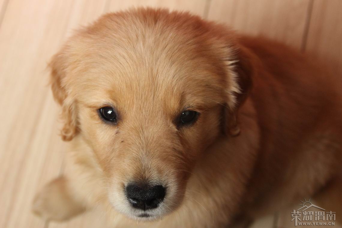 ������С IMG_2408.JPG