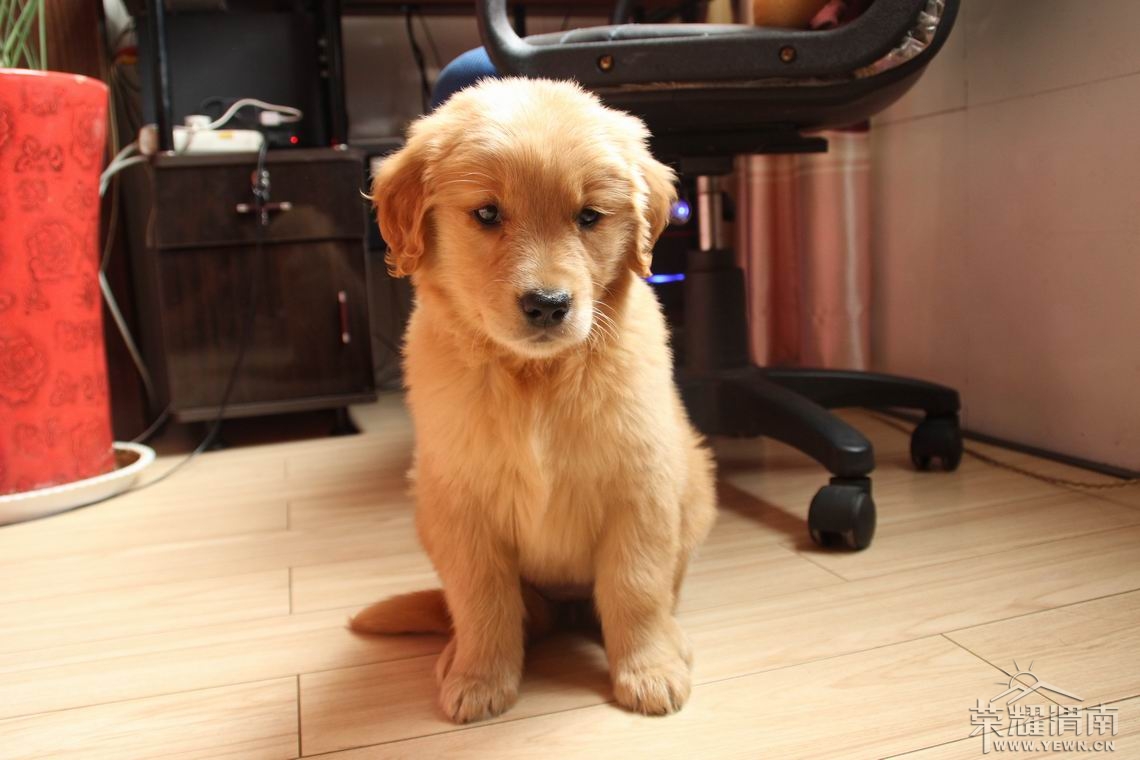 ������С IMG_2410.JPG