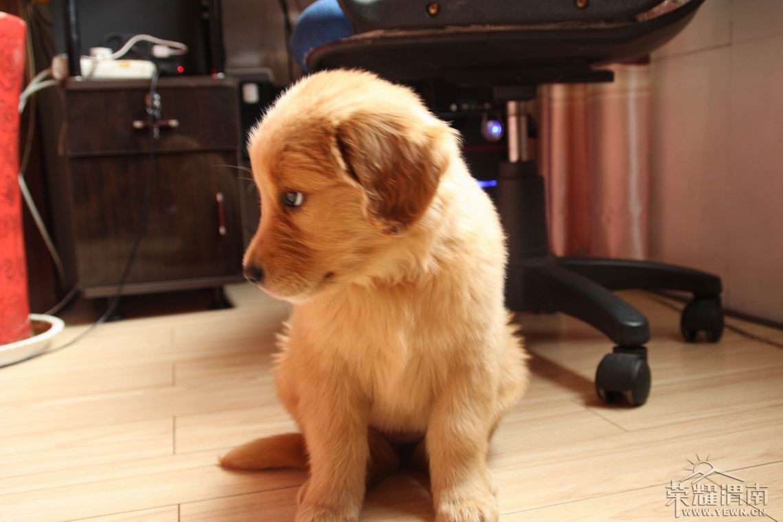 ������С IMG_2411.JPG