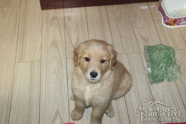 ������С IMG_2431.JPG