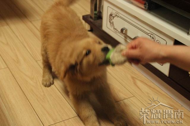 ������С IMG_2450.JPG