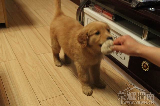 ������С IMG_2451.JPG