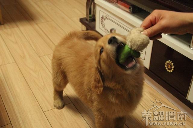 ������С IMG_2452.JPG