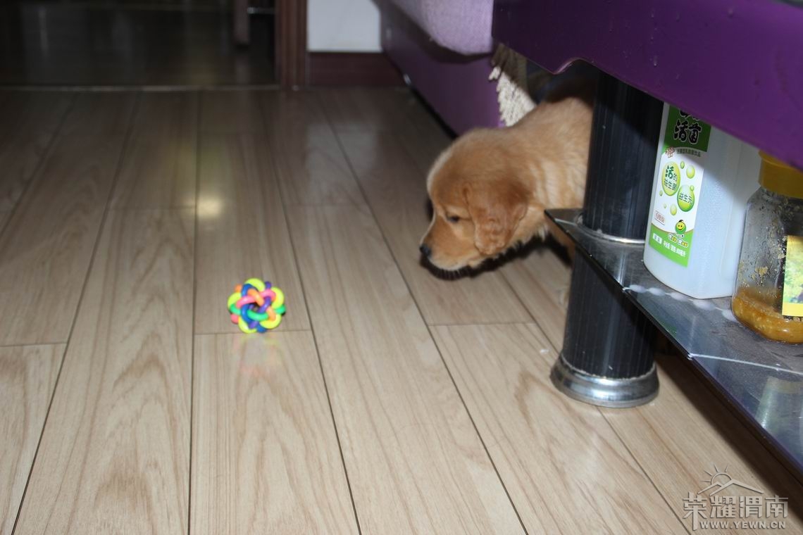 ���� ������С IMG_2057.JPG