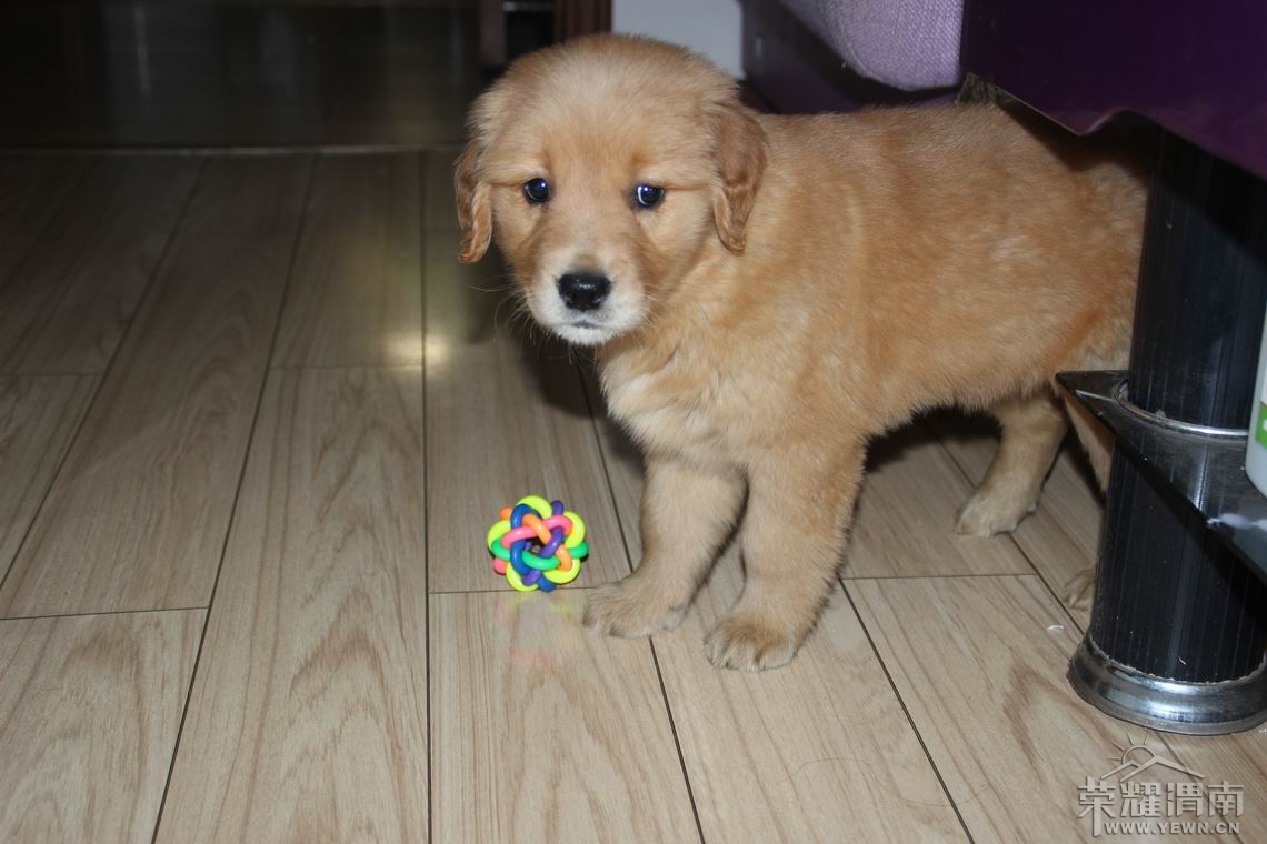 ���� ������С IMG_2058.JPG