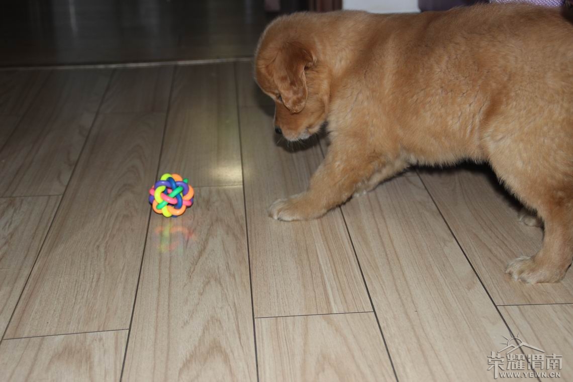 ���� ������С IMG_2061.JPG