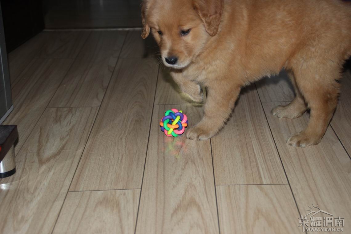 ���� ������С IMG_2063.JPG