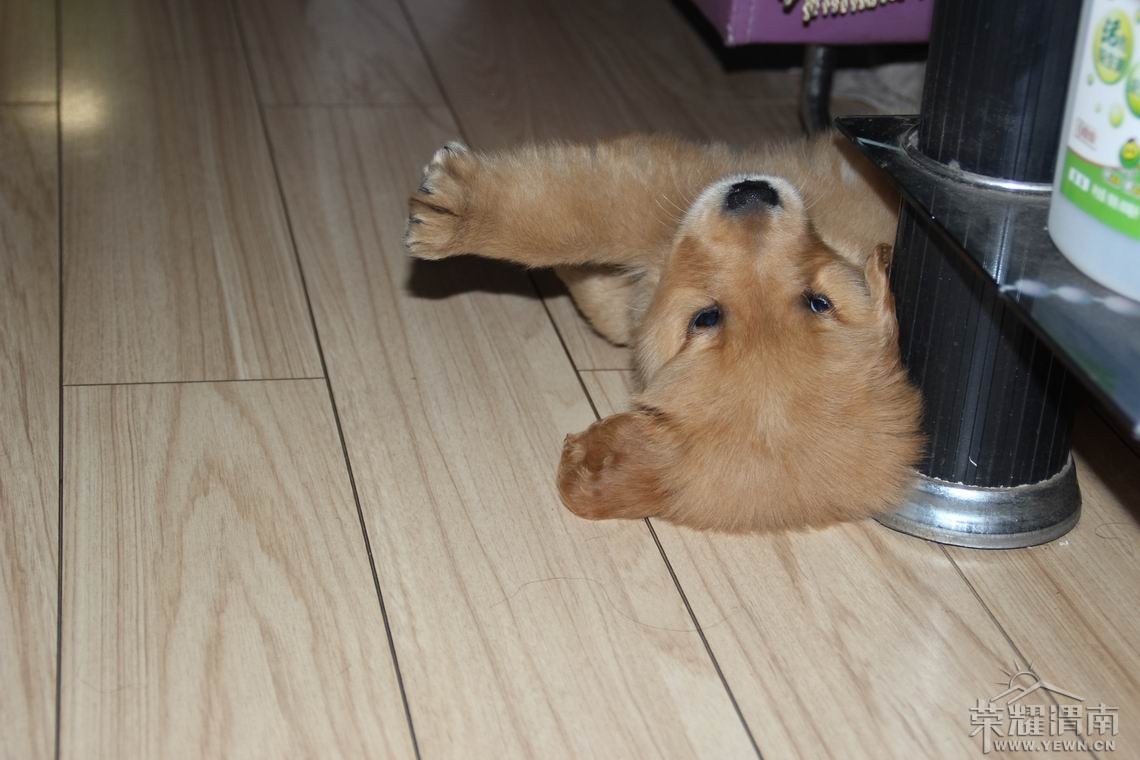 ���� ������С IMG_2064.JPG