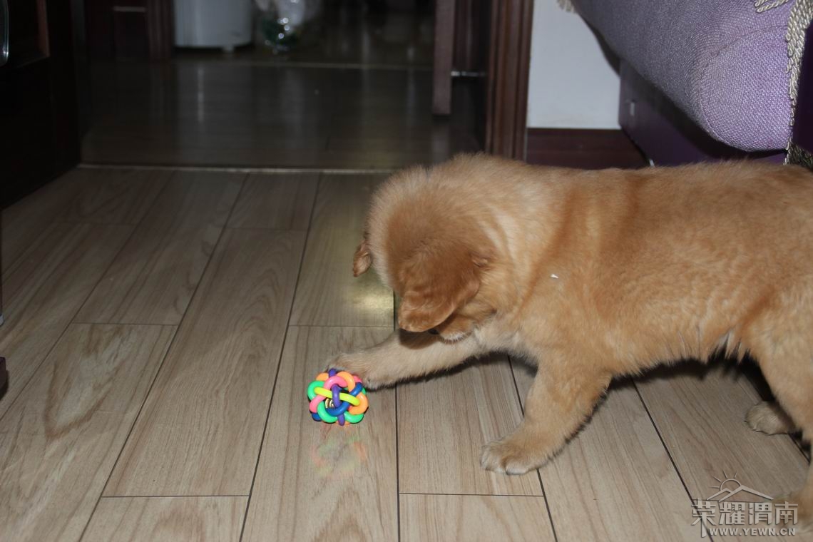 ���� ������С IMG_2065.JPG