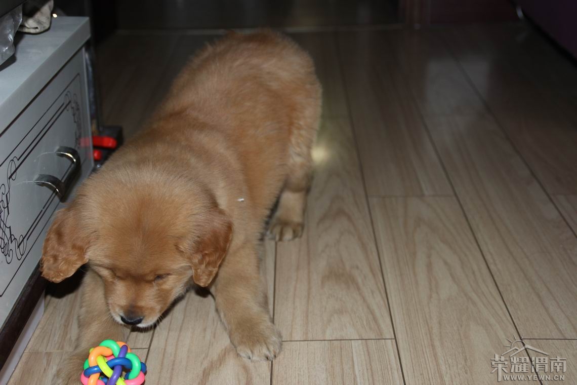 ���� ������С IMG_2066.JPG