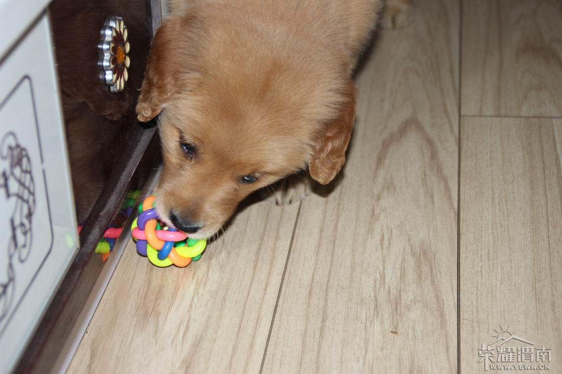 ���� ������С IMG_2067.JPG