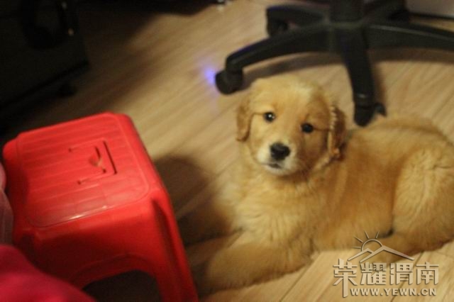 ���� ������С IMG_2429.JPG