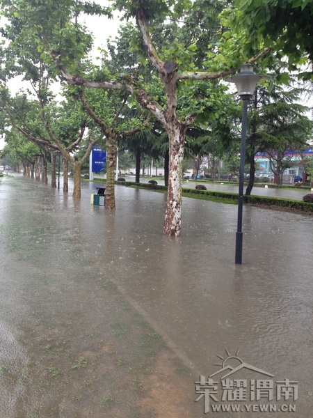 ��ɳ̲����������