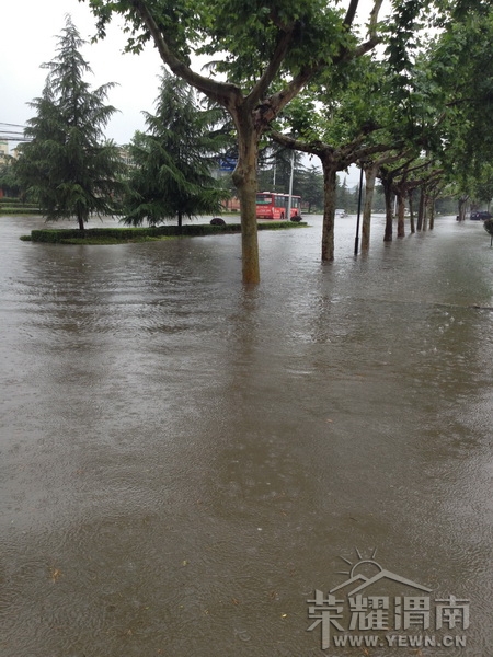 ���ڡ��ǳ�����