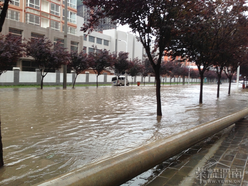 ���������ͽ�