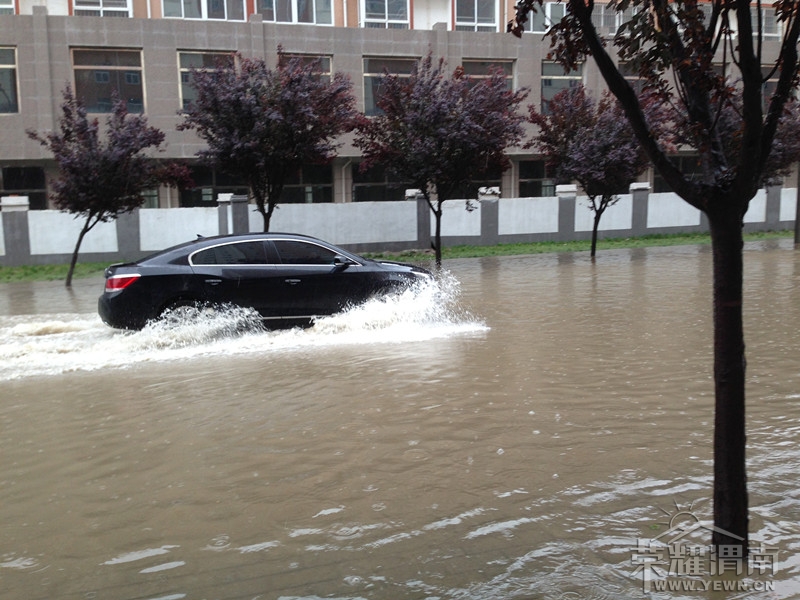 ���������ͽ�