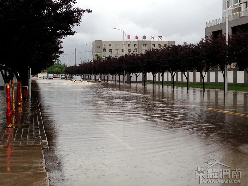 ���������ͽ�