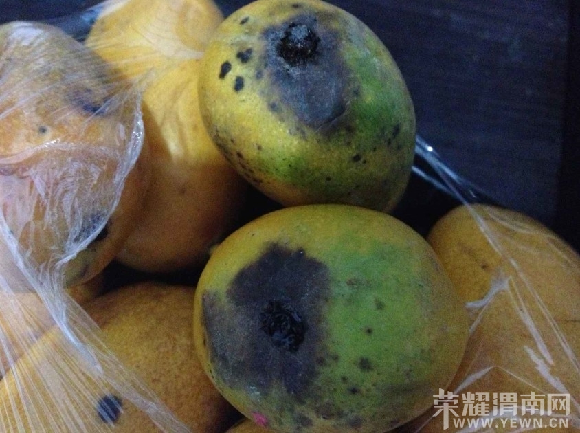 μ����������