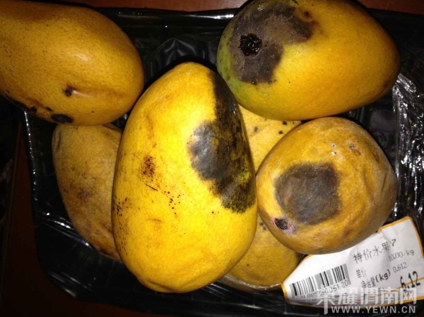 μ����������