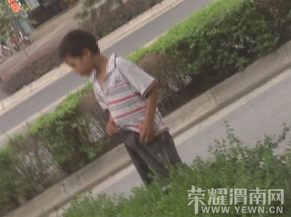 杜桥门口一男孩马路上随地小便 令路人尴尬 - 图说渭南 - 荣耀渭南网 WWW.YEWN.CN