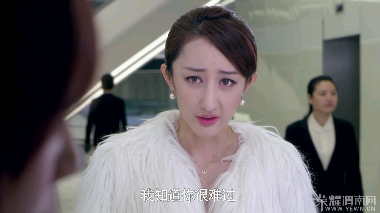 2013中国赵奕欢喜剧《<em>女人公敌</em>》高清1280版