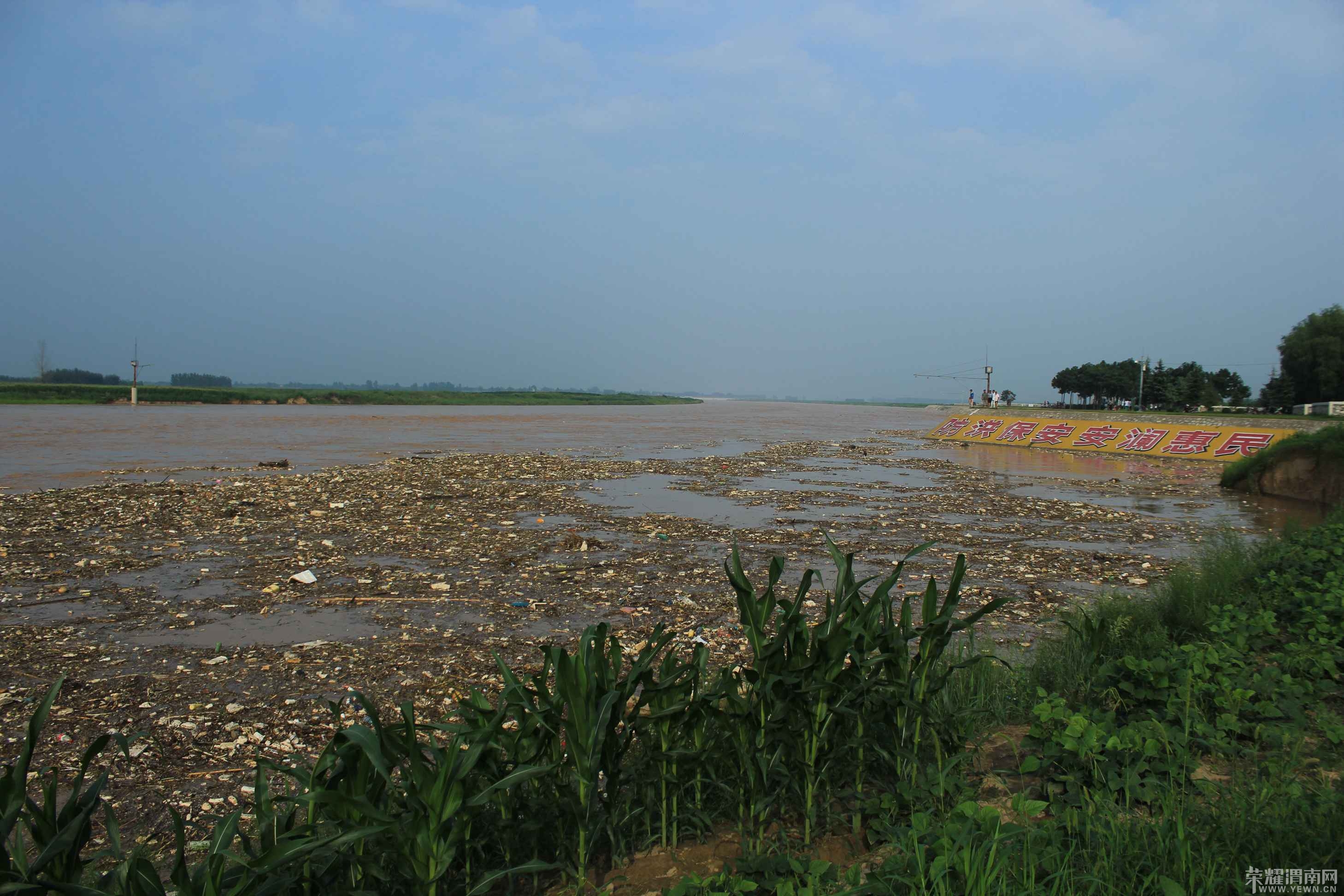 ������Ư���Ŵ�Ƭ������