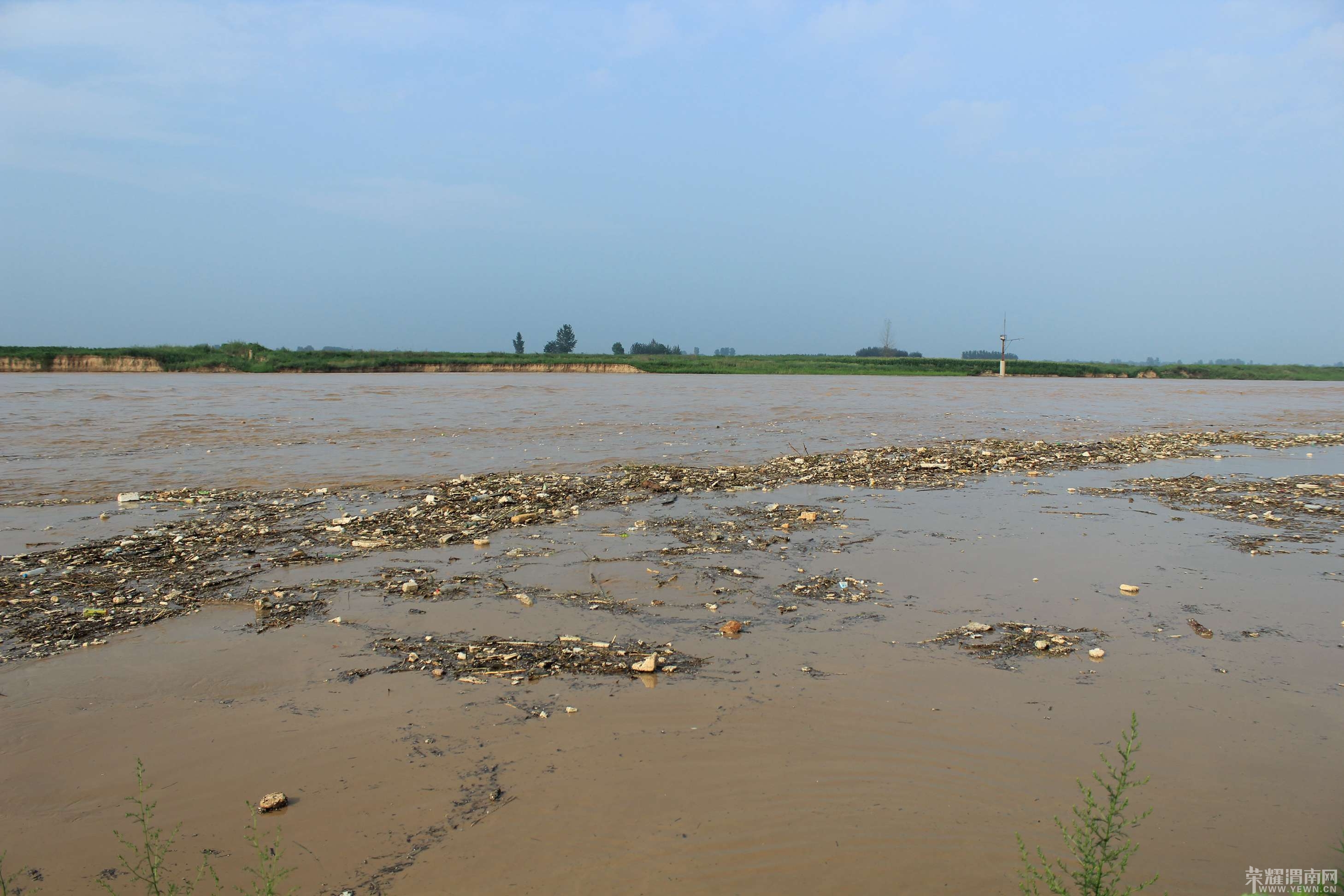 ������Ư���Ŵ�Ƭ������