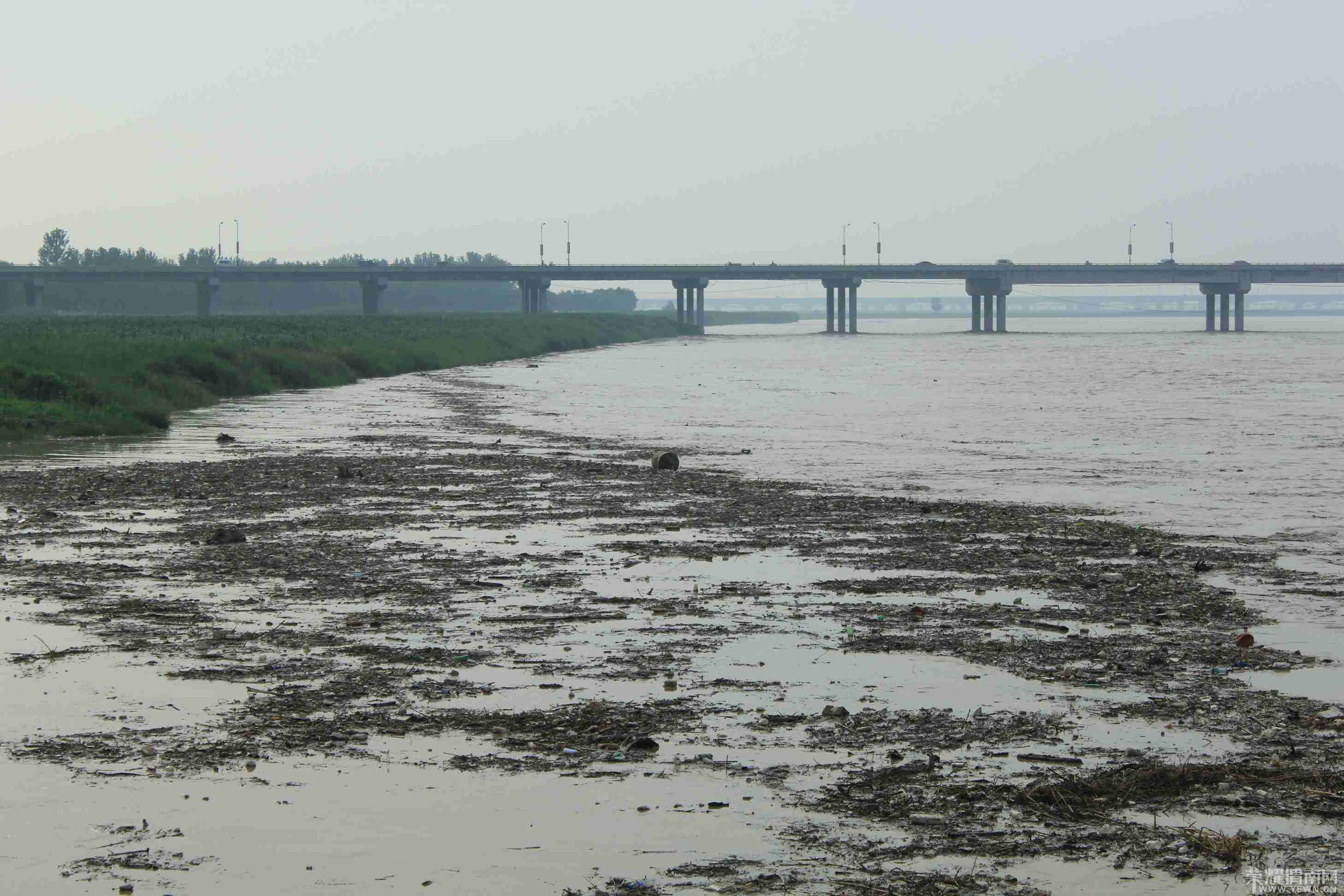 ��һ�������ľۼ���