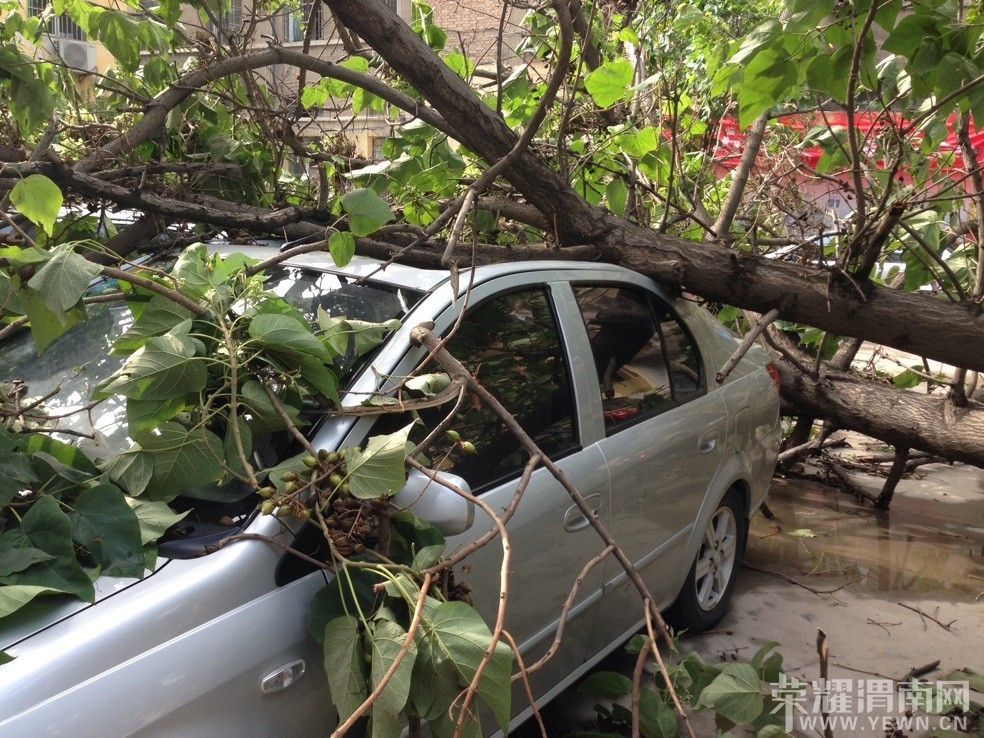 ��־����������������������Ľϴ���ʧһ�㣡