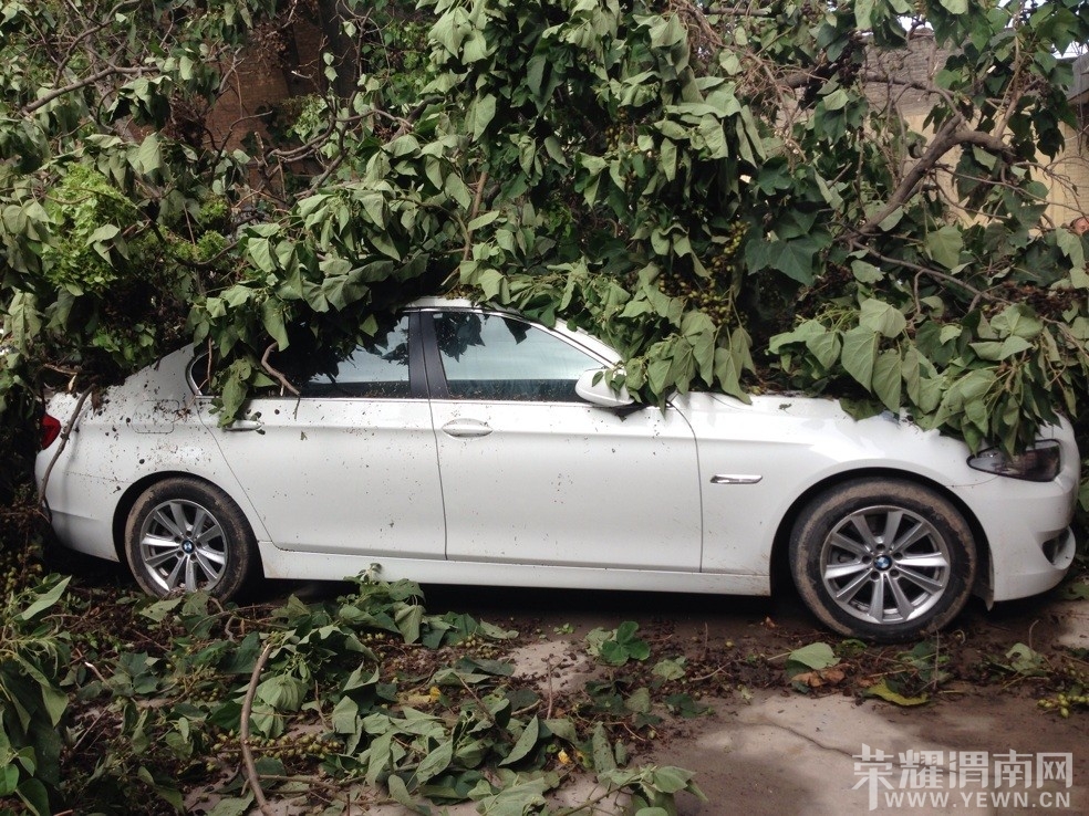 ��������ѹ������Ŀǰ�޷��ƶ���