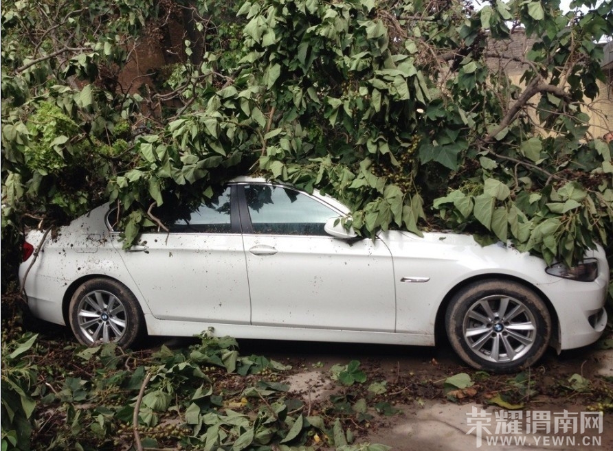 ��Ȼ�ֺ�������ù��