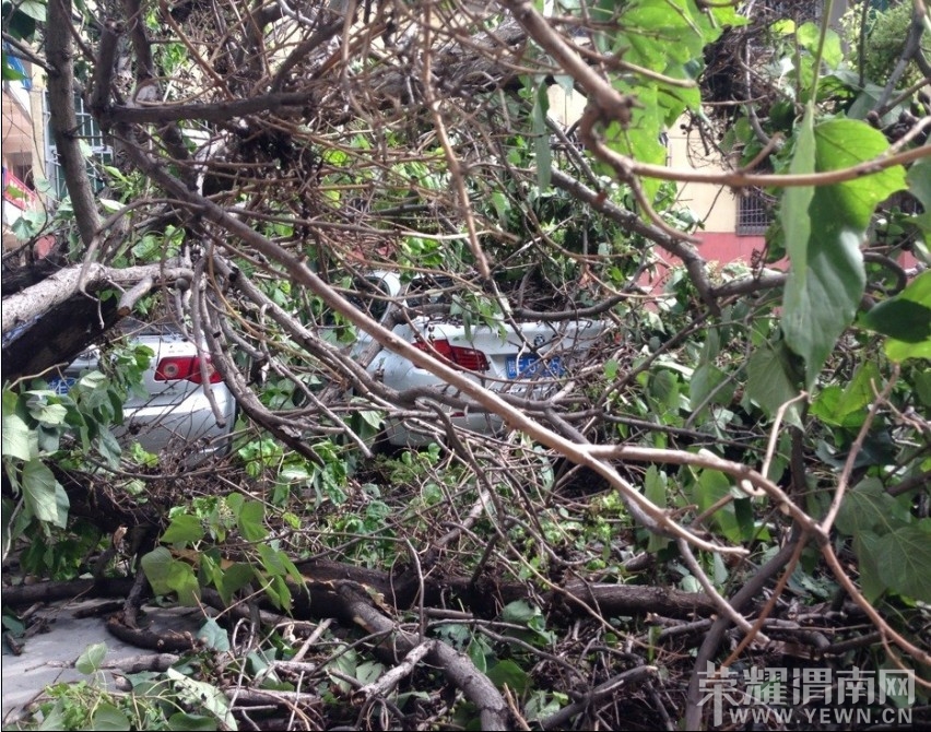 �����������ݺ󵲷粣�����ѣ���������������ʧ�ϴ�