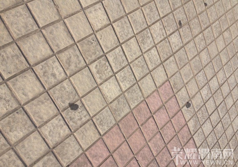 中心广场清理口香糖 市民创卫也要管住自己的