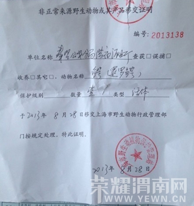 Img385300832.jpg