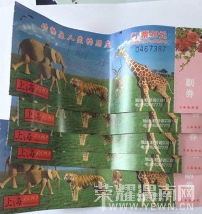 Img385300838.jpg