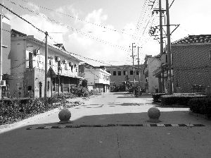 Img386872936.jpg