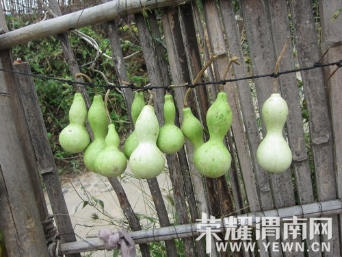 ��Ƭ 081_��С��С.jpg