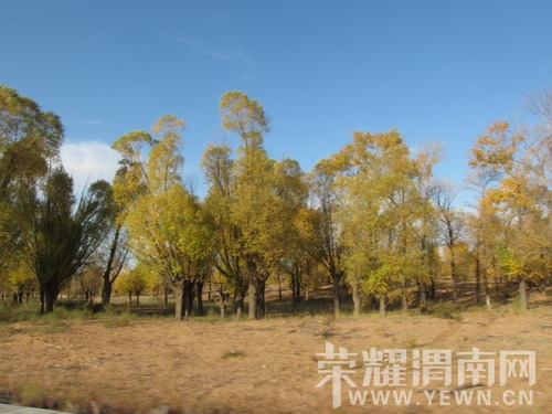 ��Ƭ 117_��С��С.jpg