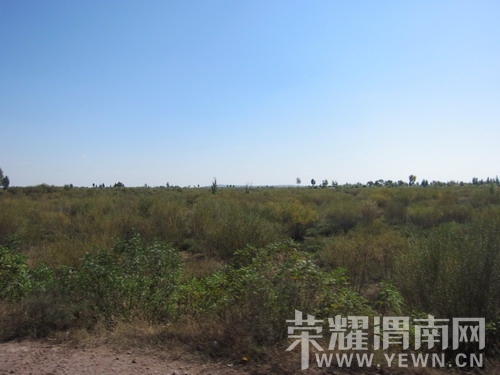 ��Ƭ 152_��С��С.jpg