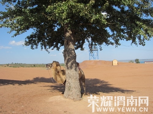 ��Ƭ 190_��С��С.jpg