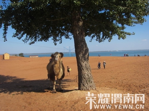 ��Ƭ 191_��С��С.jpg