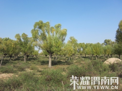 ��Ƭ 367_��С��С.jpg