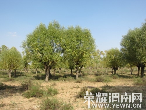 ��Ƭ 368_��С��С.jpg